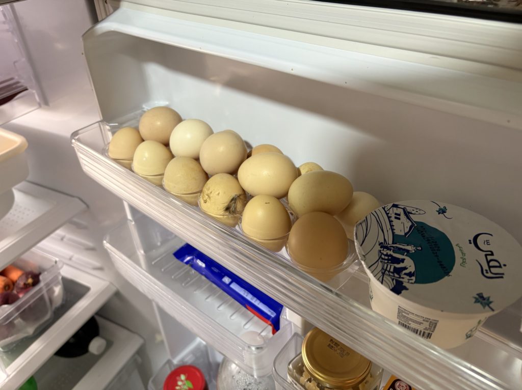 エジプトの卵　ベードゥ　バラディ